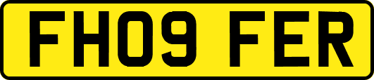 FH09FER
