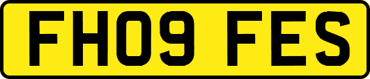 FH09FES