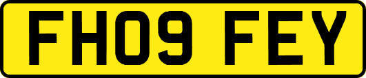 FH09FEY