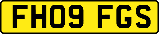 FH09FGS