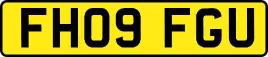 FH09FGU