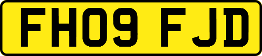 FH09FJD