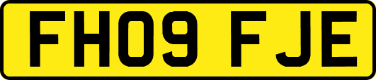 FH09FJE
