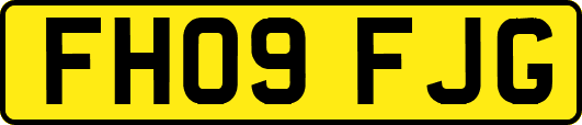 FH09FJG