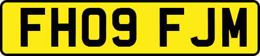 FH09FJM