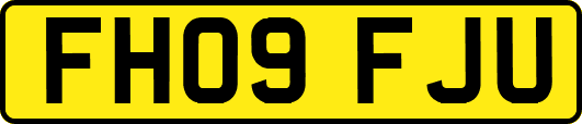 FH09FJU
