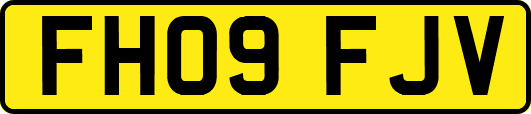 FH09FJV