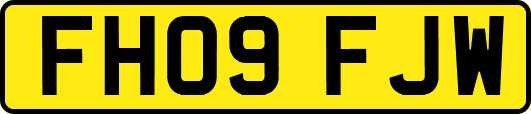 FH09FJW