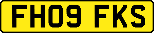 FH09FKS