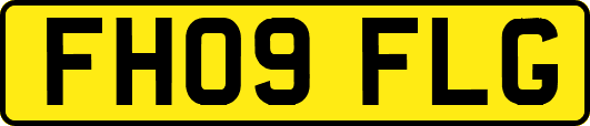 FH09FLG