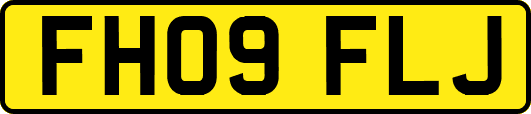 FH09FLJ
