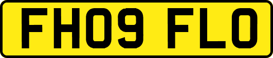 FH09FLO
