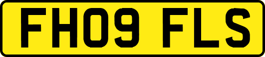 FH09FLS