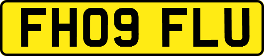 FH09FLU
