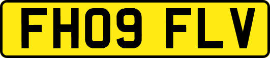 FH09FLV