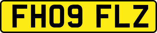 FH09FLZ