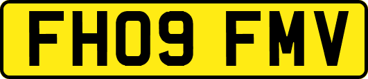 FH09FMV