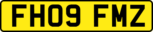FH09FMZ