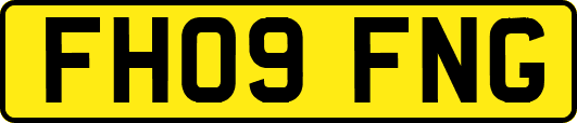 FH09FNG
