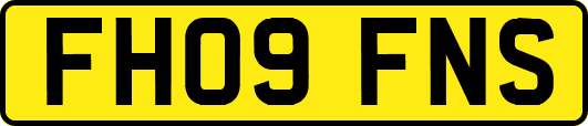 FH09FNS