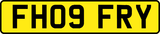 FH09FRY
