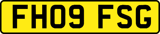 FH09FSG