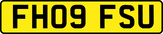 FH09FSU