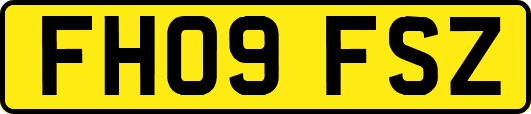 FH09FSZ