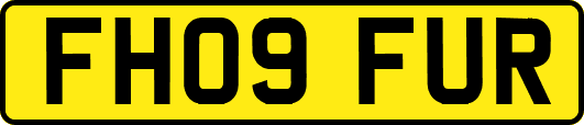 FH09FUR