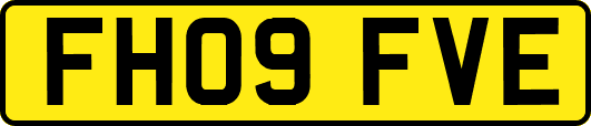 FH09FVE