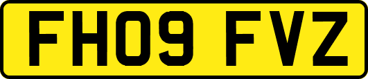 FH09FVZ