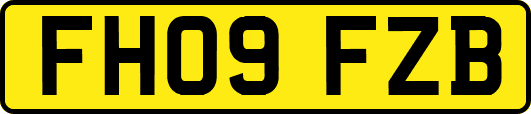 FH09FZB