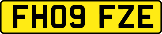 FH09FZE