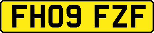 FH09FZF