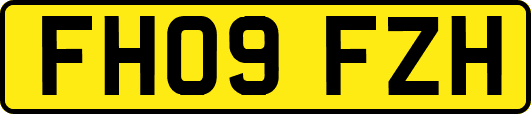FH09FZH