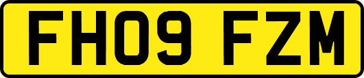 FH09FZM