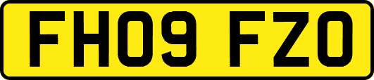 FH09FZO