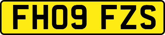 FH09FZS