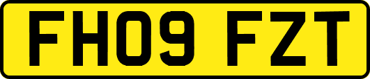 FH09FZT