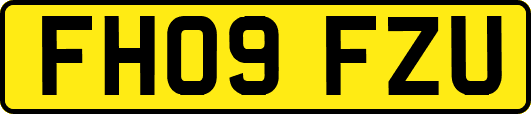 FH09FZU