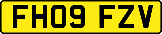 FH09FZV