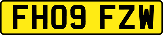 FH09FZW