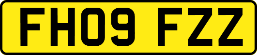 FH09FZZ