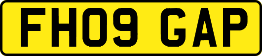 FH09GAP