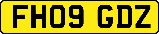FH09GDZ