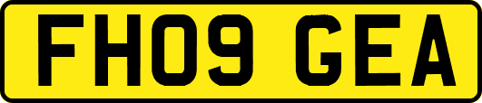 FH09GEA