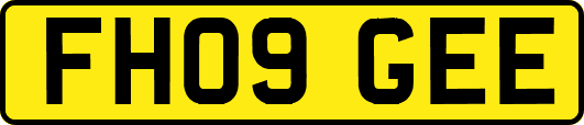 FH09GEE