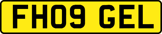 FH09GEL