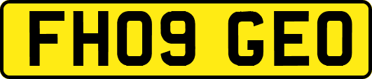 FH09GEO