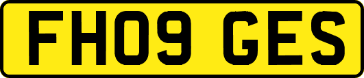 FH09GES